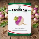 WHITE PURPLE TURNIP