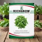 ARUGULA RUCOLA ROCKET
