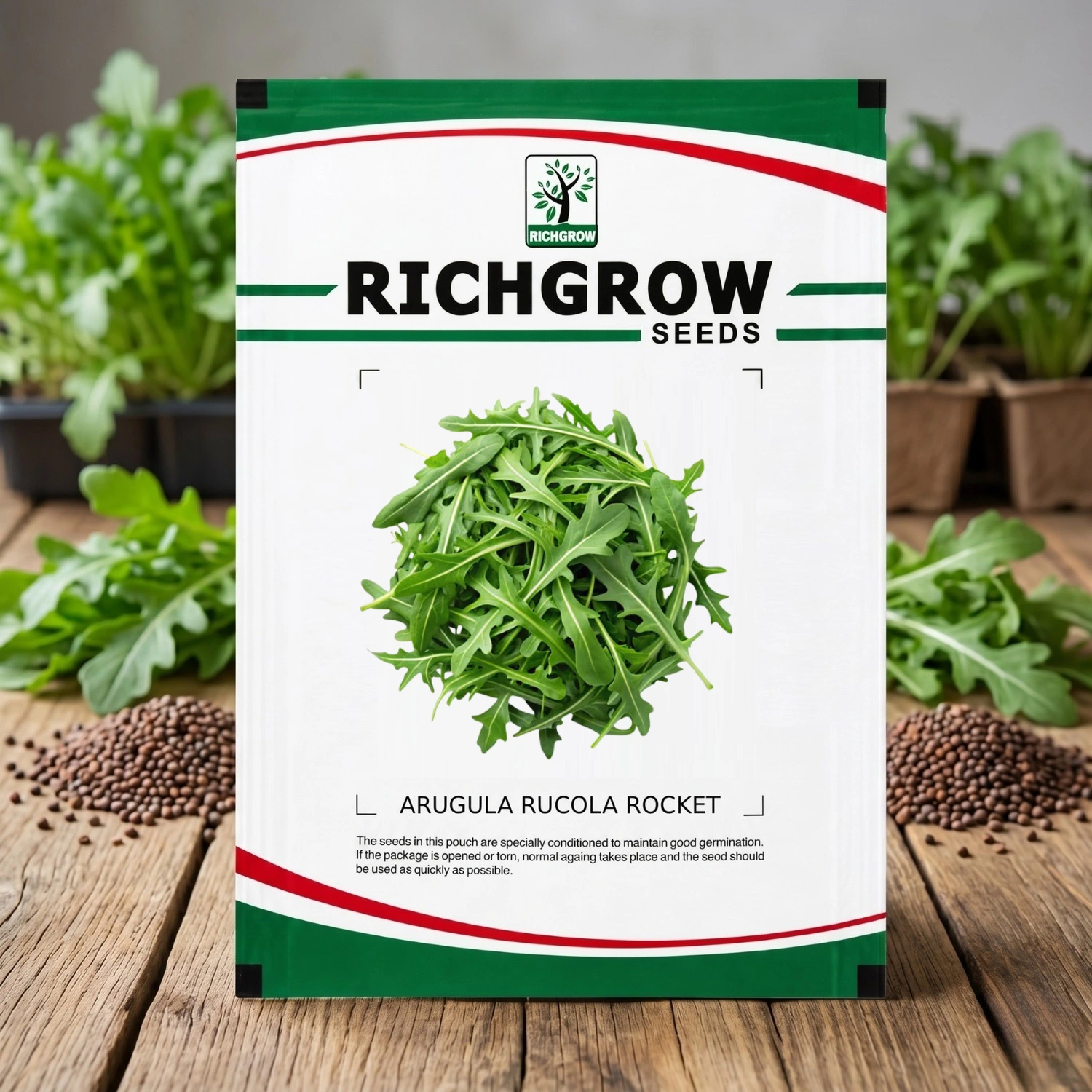 2-3 ARUGULA RUCOLA ROCKET - Image 1
