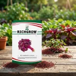 RED AMARANTH (CHOLAI)
