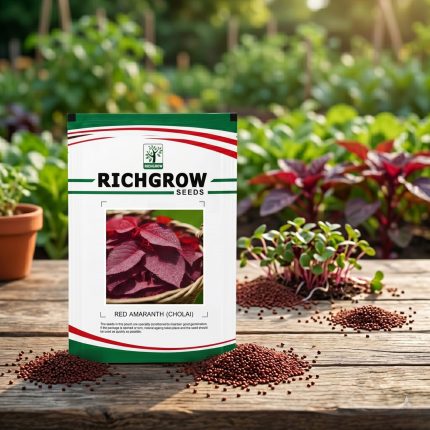 RED AMARANTH (CHOLAI)