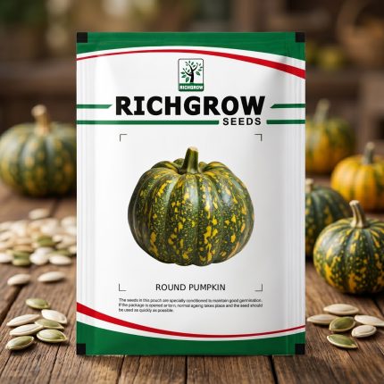 ROUND PUMPKIN