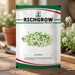 ALYSSUM