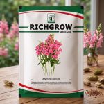 ANTIRRHINUM