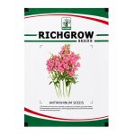 ANTIRRHINUM - Image 2