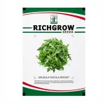 ARUGULA RUCOLA ROCKET - Image 2