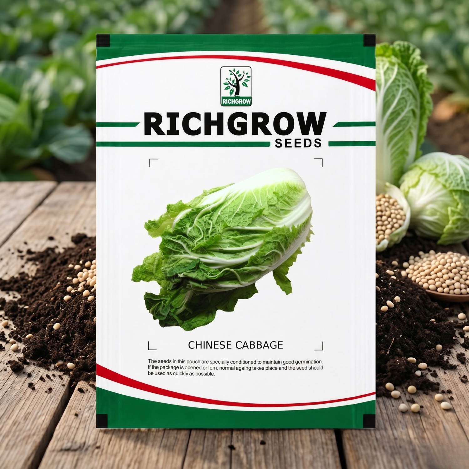 CHINESE CABBAGE