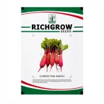CHINESE PINK RADISH - Image 2
