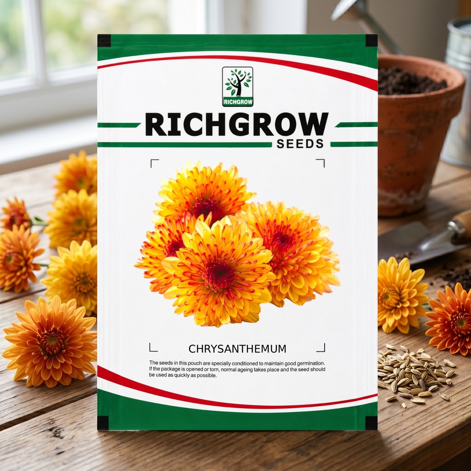 CHRYSANTHEMUM