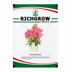 ANTIRRHINUM - Image 2