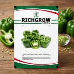 GREEN CAPSICUM / BELL PEPPER