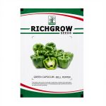 GREEN CAPSICUM / BELL PEPPER - Image 2