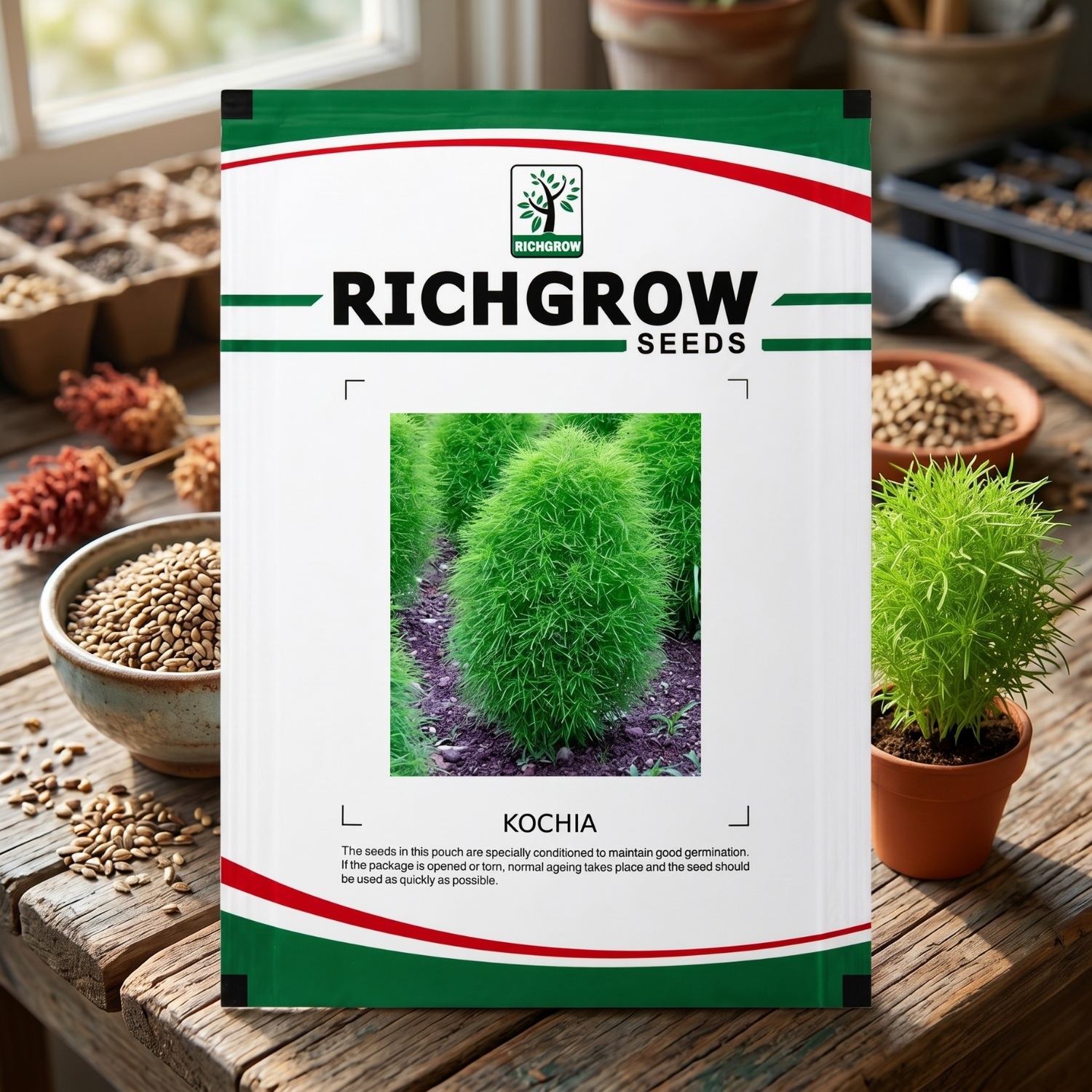 KOCHIA