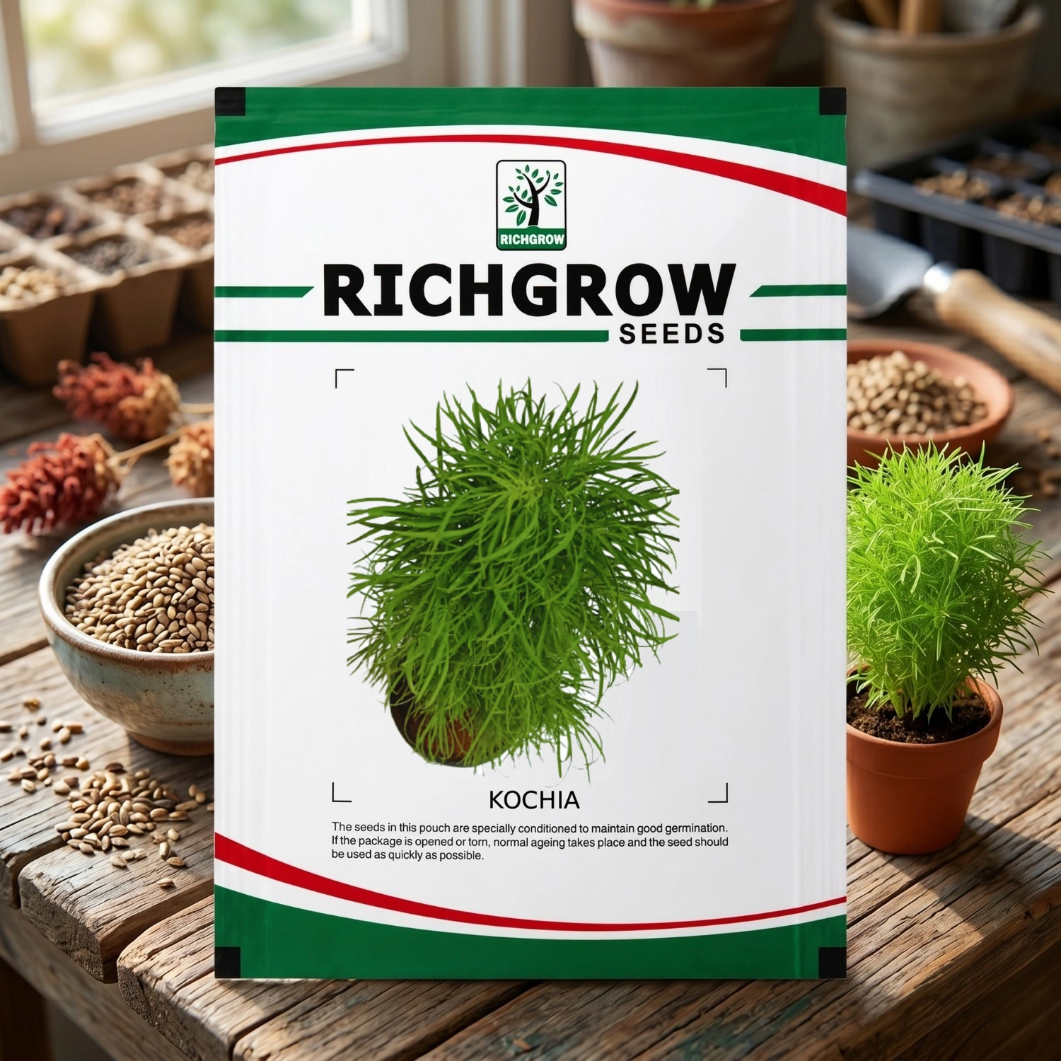 KOCHIA KOCHIA - Image 1