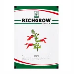 SALVIA - Image 2