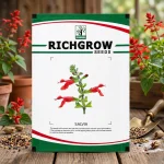 SALVIA