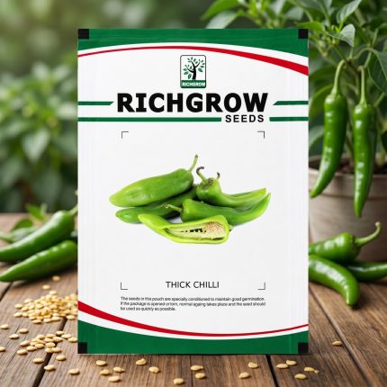THICK CHILLI