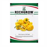 YELLOW CAPSICUM / BELL PEPPER - Image 2